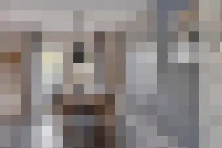 Wijnvat 12 Dronten thumbnail 15