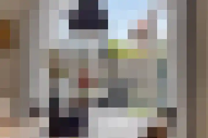 Wijnvat 12 Dronten thumbnail 19