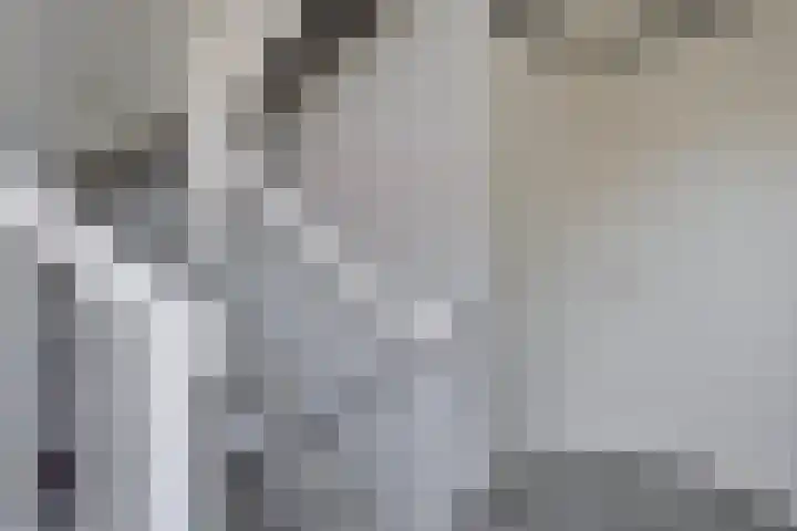 Wijnvat 12 Dronten thumbnail 24