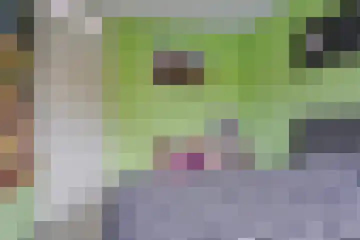 Wijnvat 12 Dronten thumbnail 32
