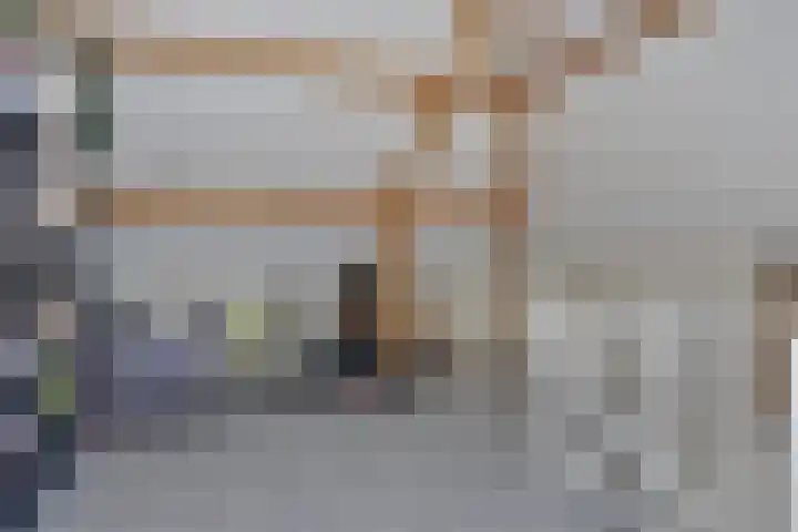 Wijnvat 12 Dronten thumbnail 39