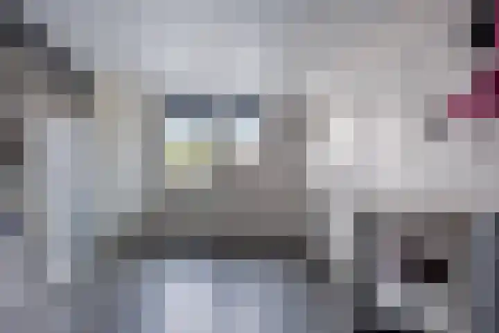 Wijnvat 12 Dronten thumbnail 40