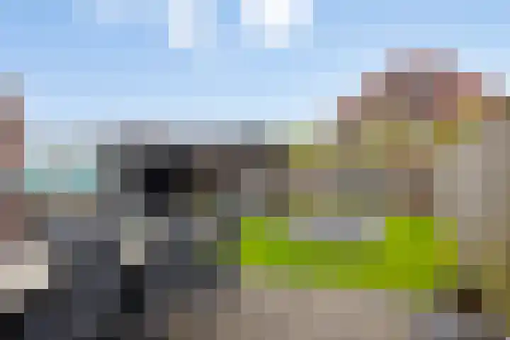 Wijnvat 12 Dronten thumbnail 43