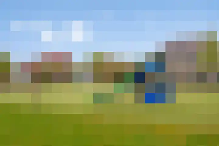 Wijnvat 12 Dronten thumbnail 56