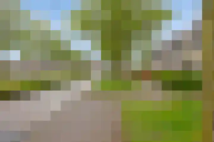 Wijnvat 12 Dronten thumbnail 57