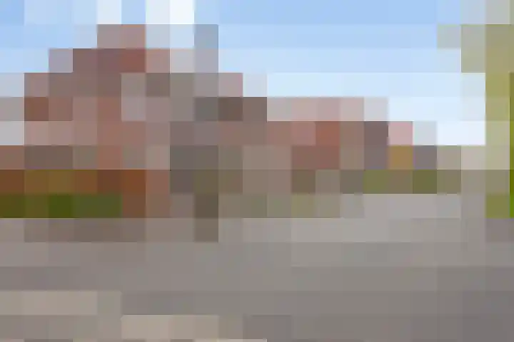 Wijnvat 12 Dronten thumbnail 7