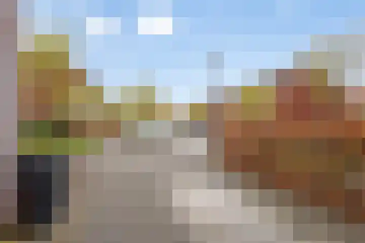 Wijnvat 12 Dronten thumbnail 8
