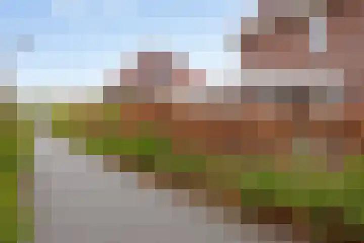 Wijnvat 12 Dronten thumbnail 9