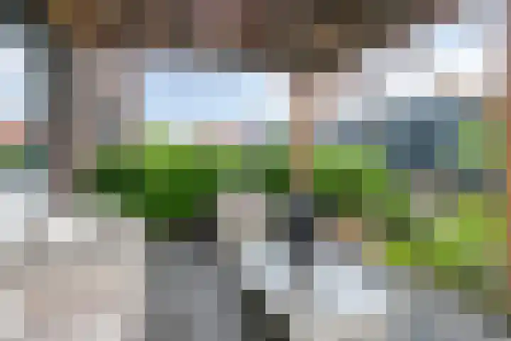 Wijnverlater 61 Dronten thumbnail 10