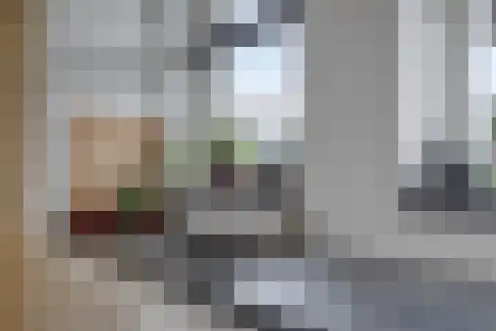 Wijnverlater 61 Dronten thumbnail 13