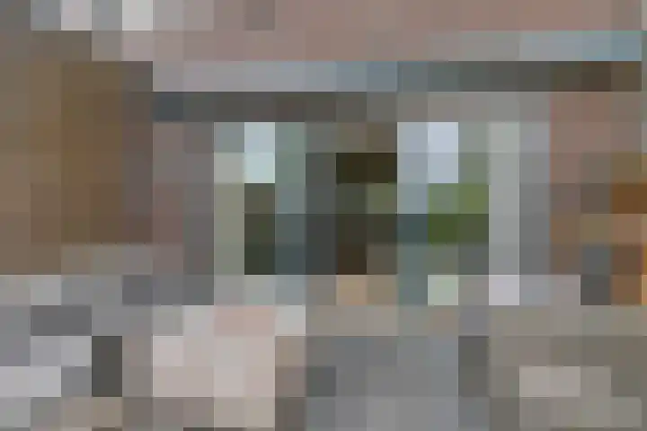 Wijnverlater 61 Dronten thumbnail 30