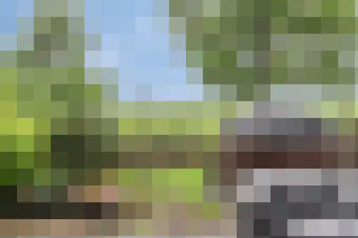 Wijnverlater 61 Dronten thumbnail 32