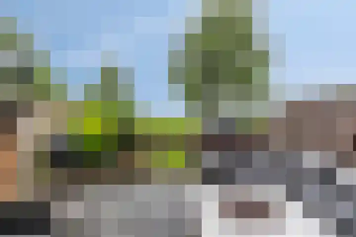 Wijnverlater 61 Dronten thumbnail 33