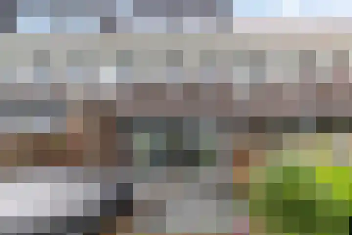 Wijnverlater 61 Dronten thumbnail 34