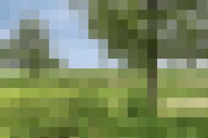 Wijnverlater 61 Dronten thumbnail 36