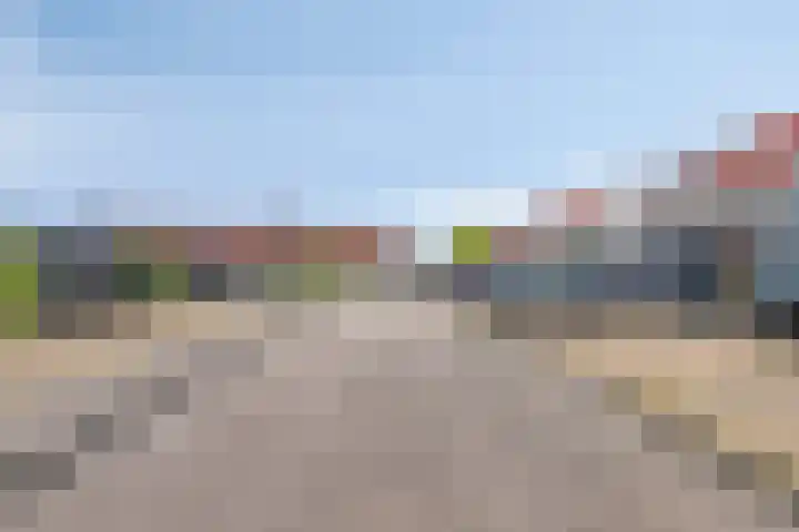Wijnverlater 61 Dronten thumbnail 37
