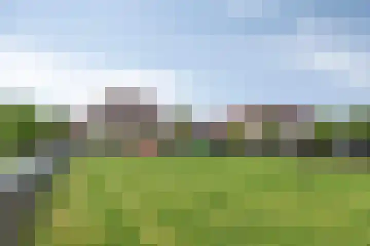 Wijnverlater 61 Dronten thumbnail 38
