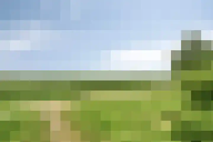 Wijnverlater 61 Dronten thumbnail 39