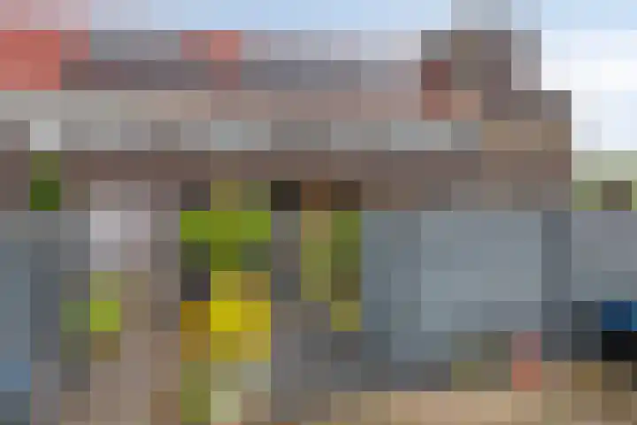 Wijnverlater 61 Dronten thumbnail 5