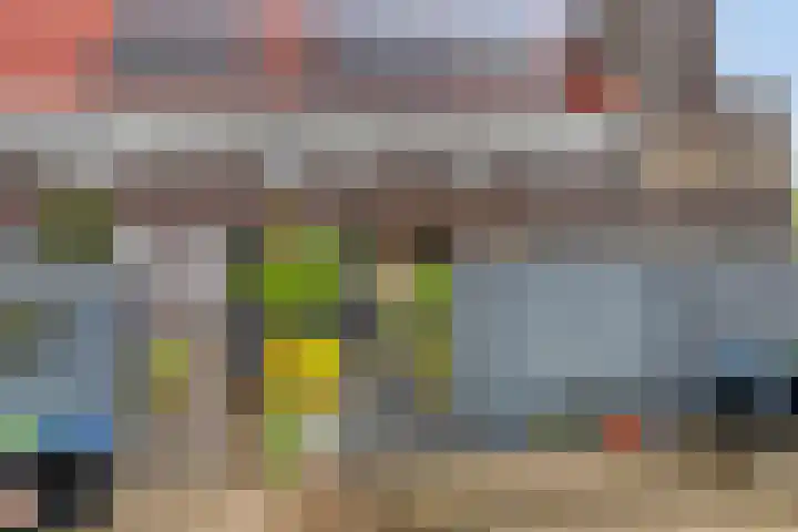 Wijnverlater 61 Dronten thumbnail 6