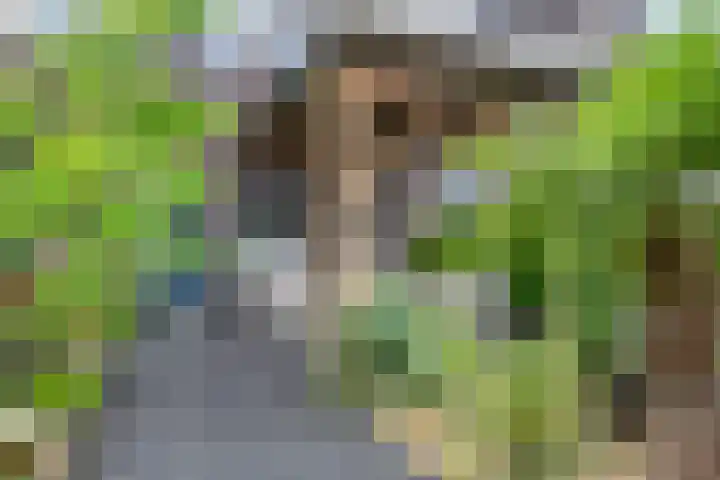 Wijnverlater 61 Dronten thumbnail 8