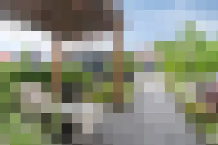 Wijnverlater 61 Dronten thumbnail 9