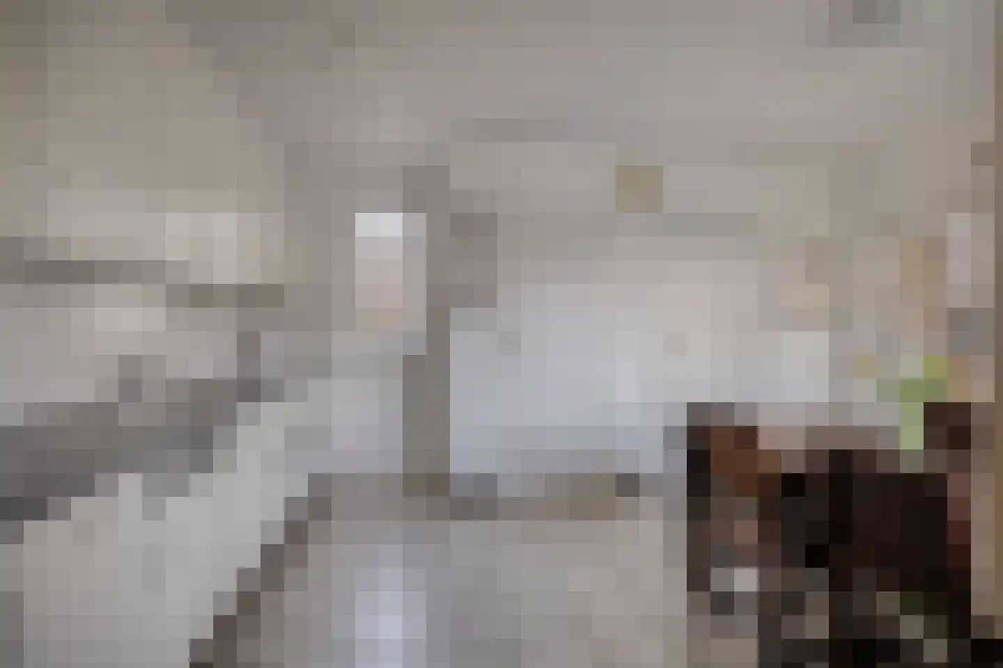 Wijst 22 Gemert thumbnail 14