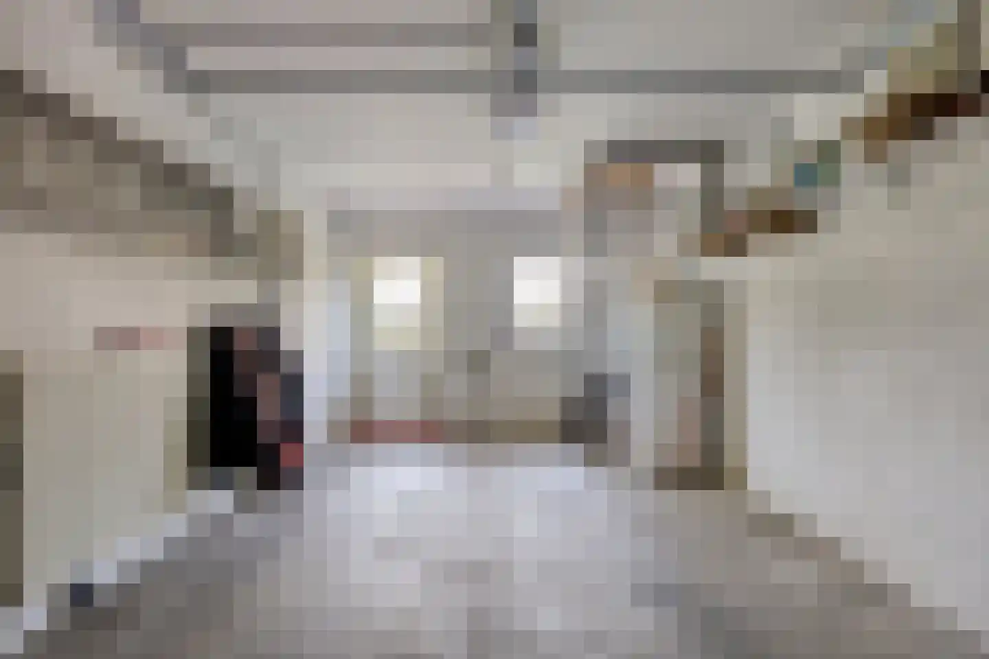 Wijst 22 Gemert thumbnail 18