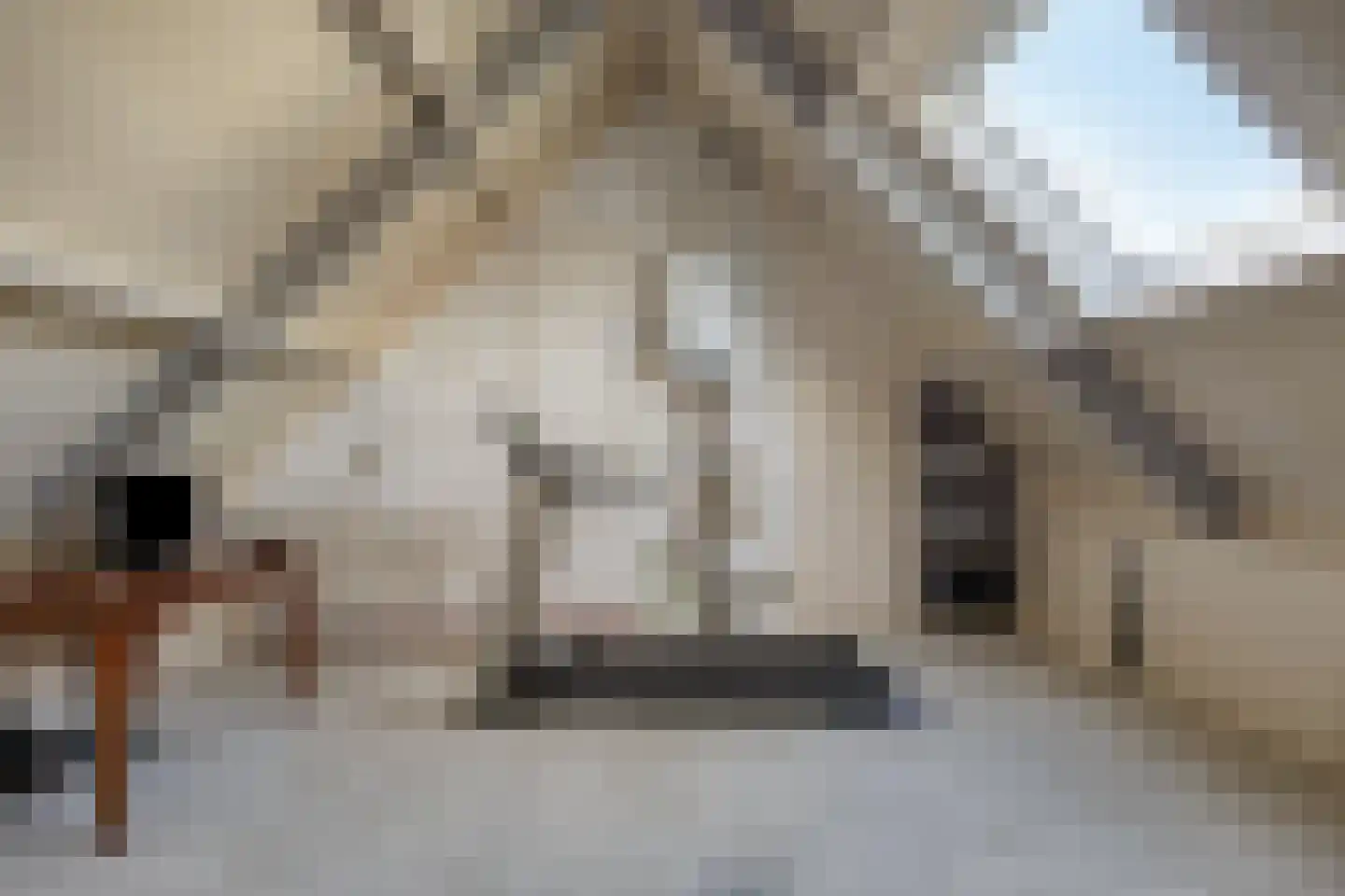 Wijst 22 Gemert thumbnail 19
