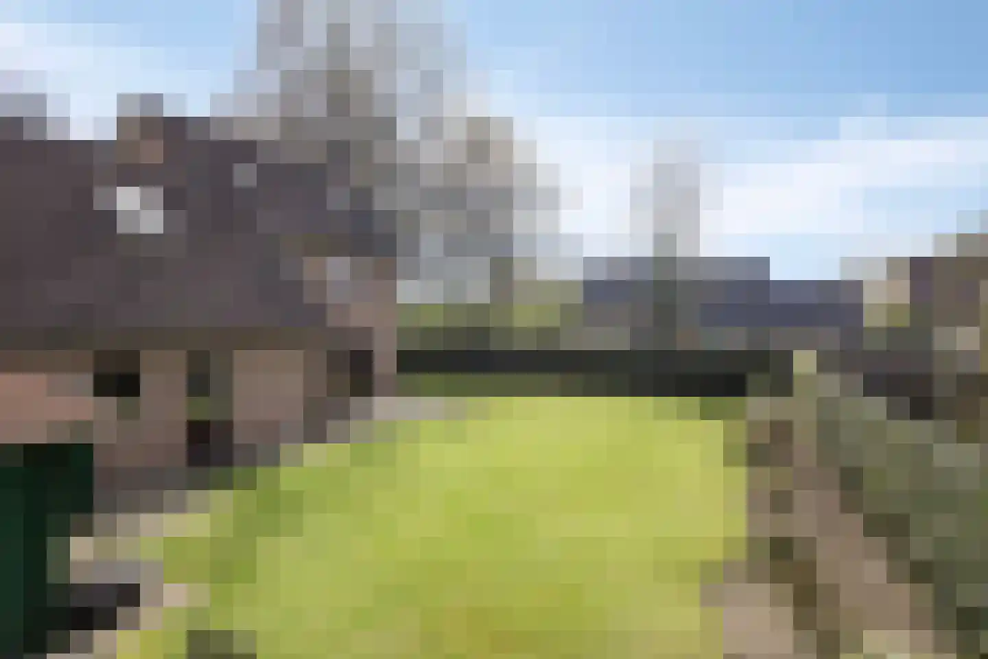 Wijst 22 Gemert foto 2