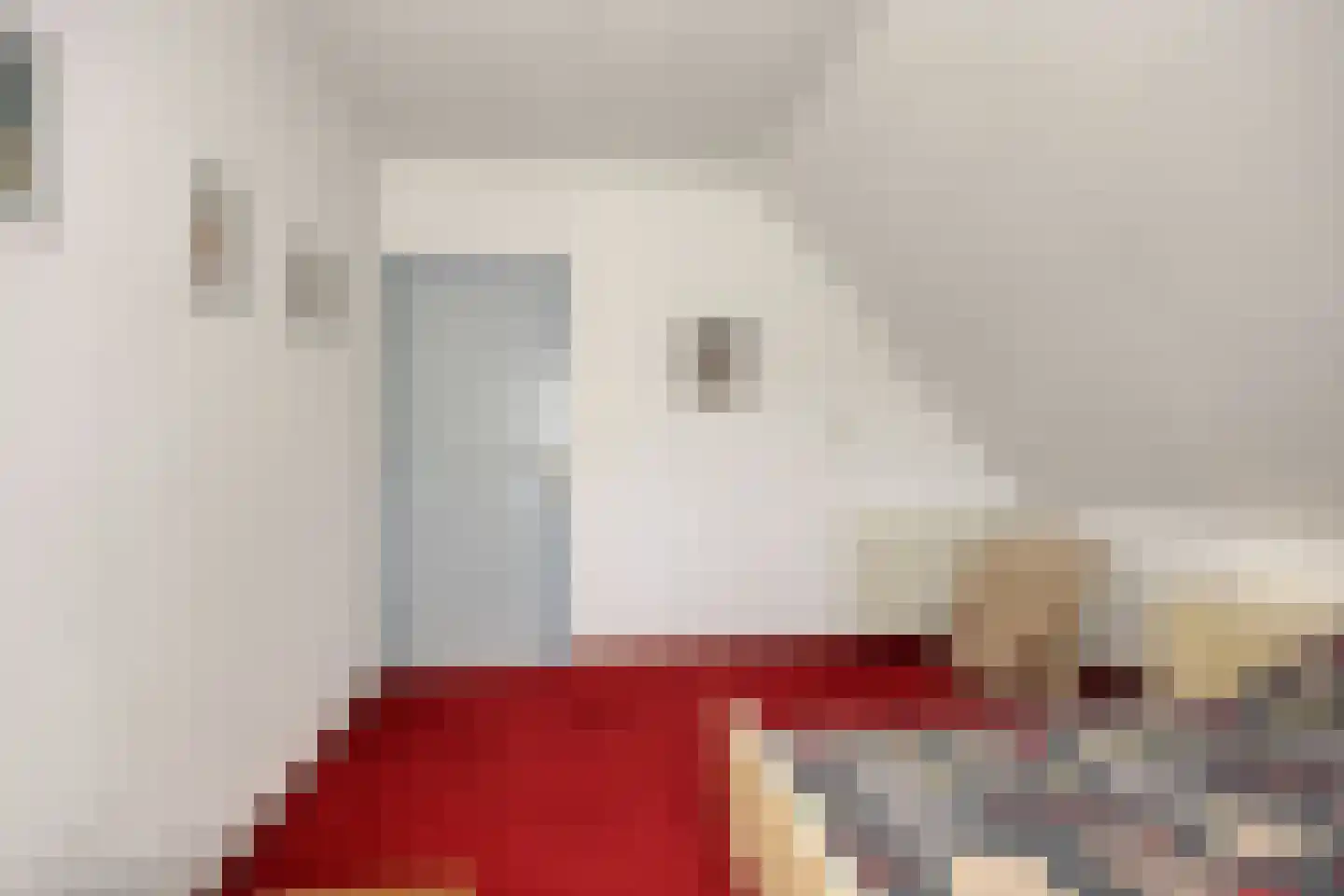 Wijst 22 Gemert thumbnail 24