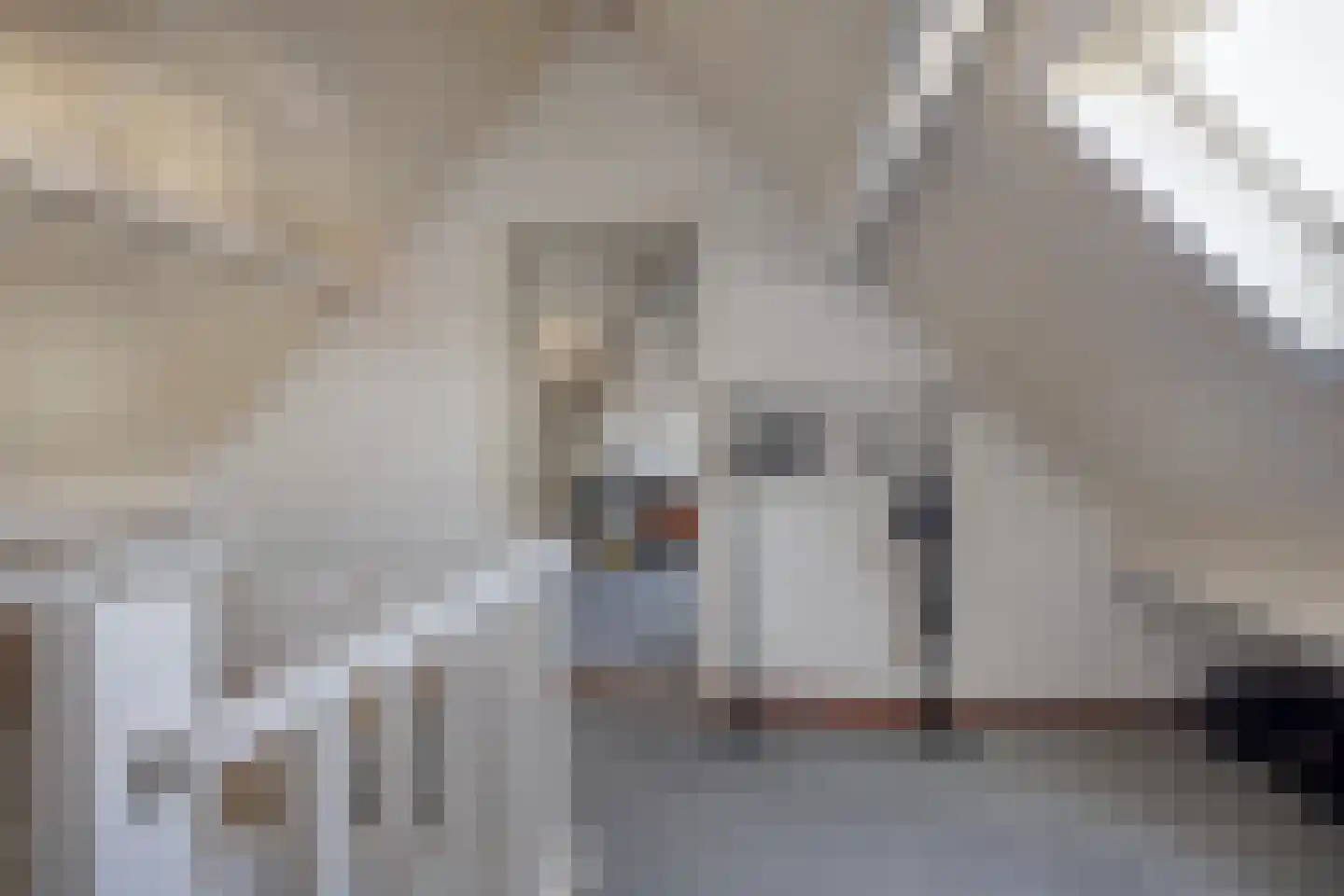 Wijst 22 Gemert thumbnail 28