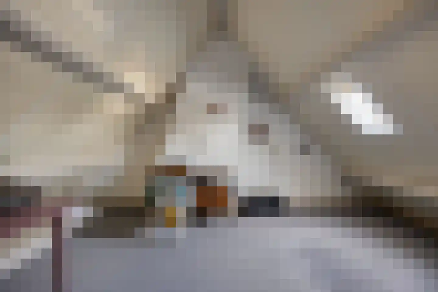 Wijst 22 Gemert thumbnail 29