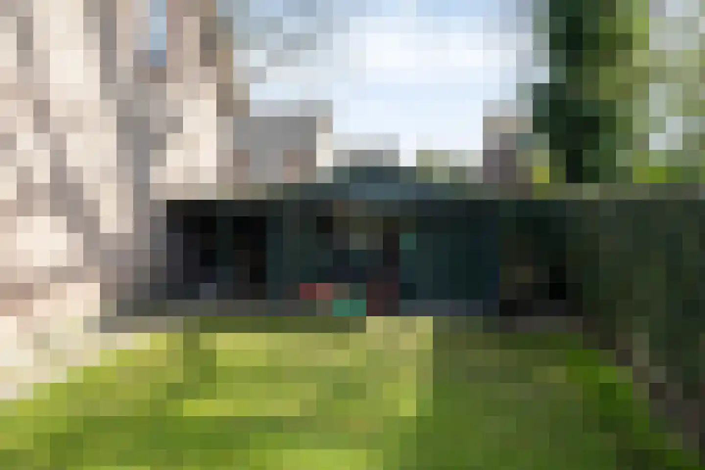 Wijst 22 Gemert thumbnail 33