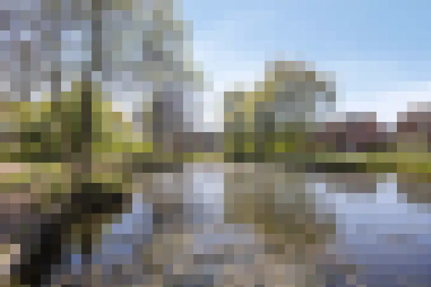 Wijst 22 Gemert thumbnail 38