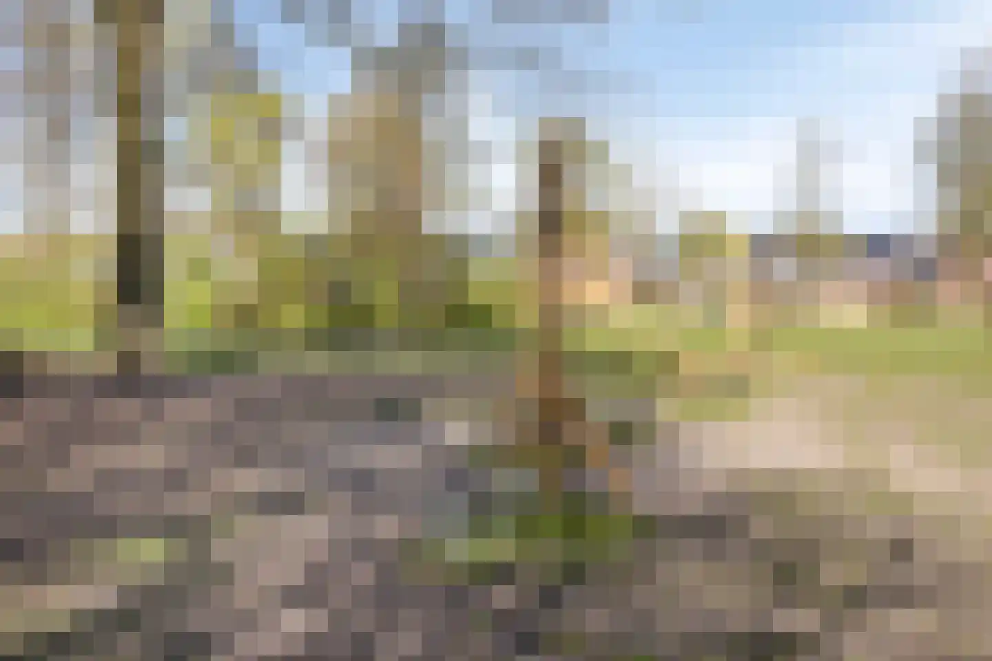 Wijst 22 Gemert thumbnail 39