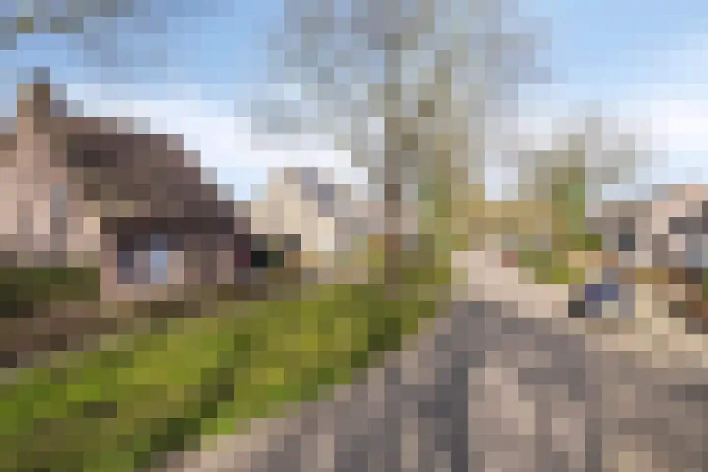 Wijst 22 Gemert thumbnail 4