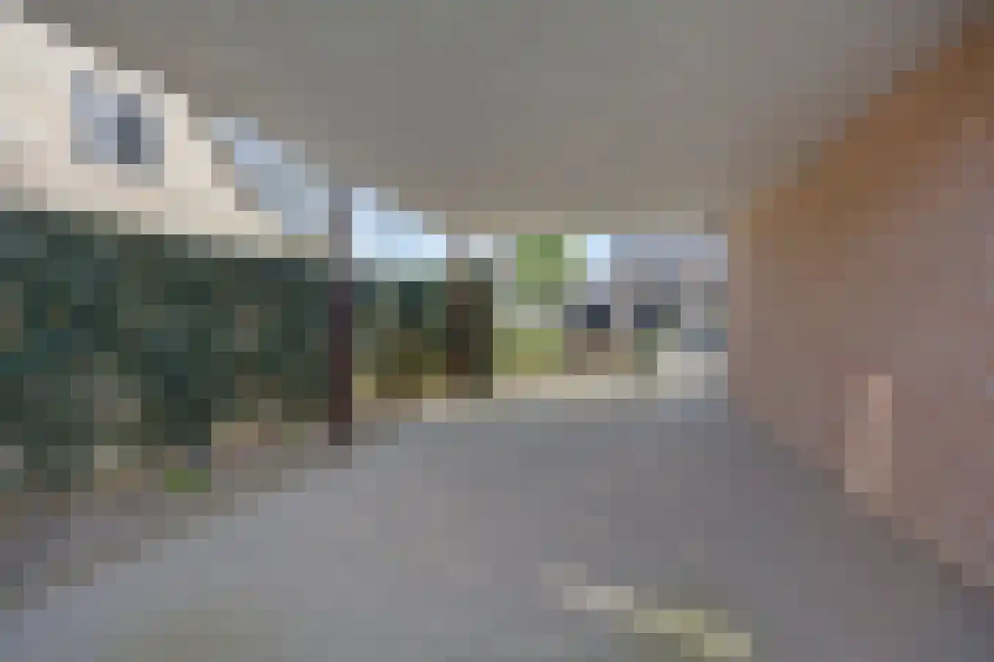Wijst 22 Gemert thumbnail 5