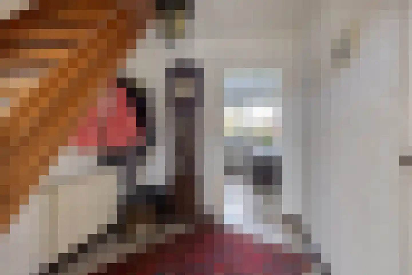 Wijst 22 Gemert thumbnail 7