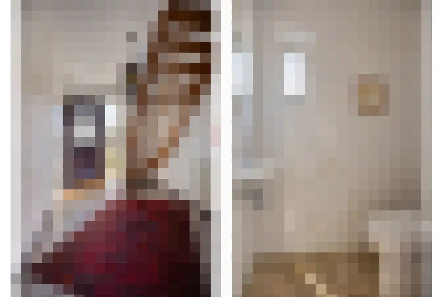Wijst 22 Gemert thumbnail 8