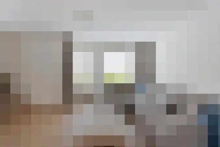 Wijst 73 Gemert thumbnail 11