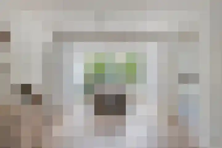 Wijst 73 Gemert thumbnail 15