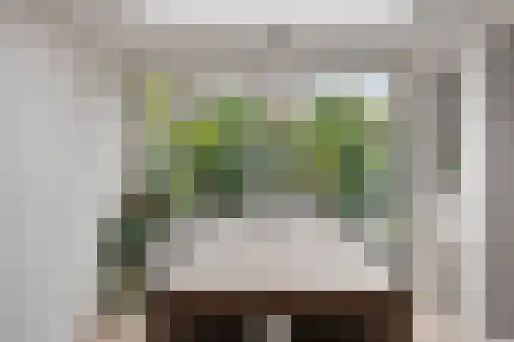 Wijst 73 Gemert thumbnail 16