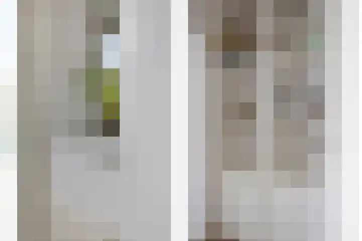 Wijst 73 Gemert thumbnail 17