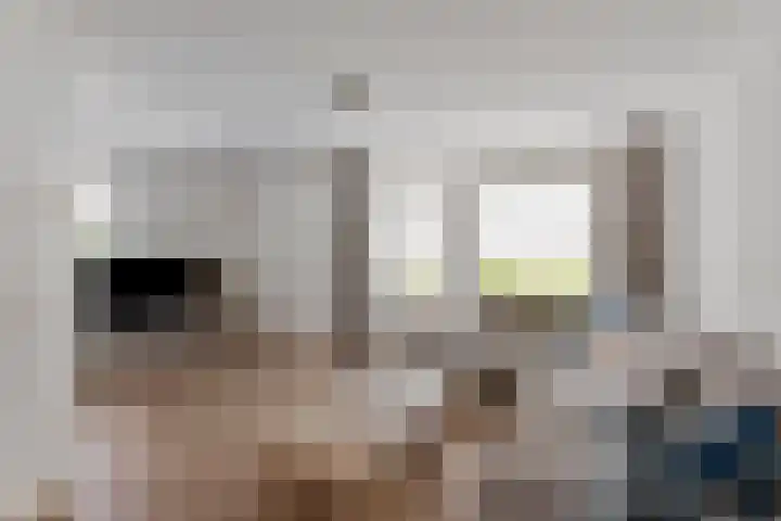 Wijst 73 Gemert foto 2