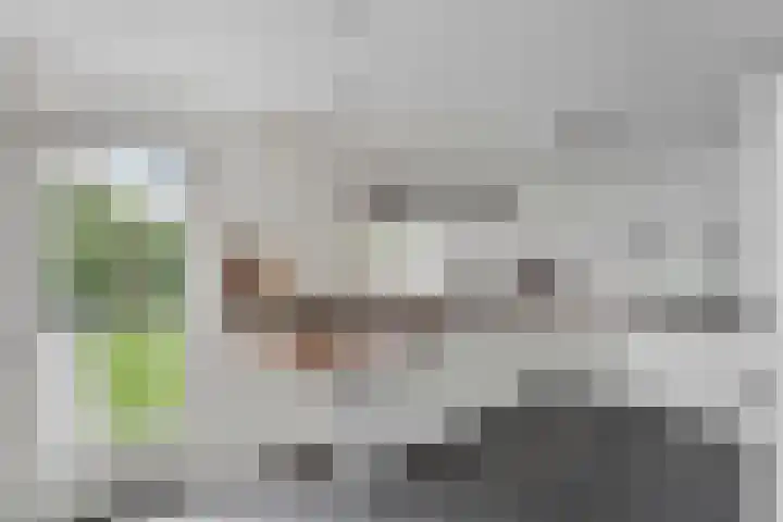 Wijst 73 Gemert thumbnail 20