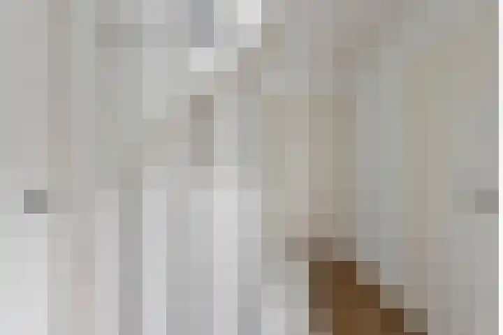 Wijst 73 Gemert thumbnail 23