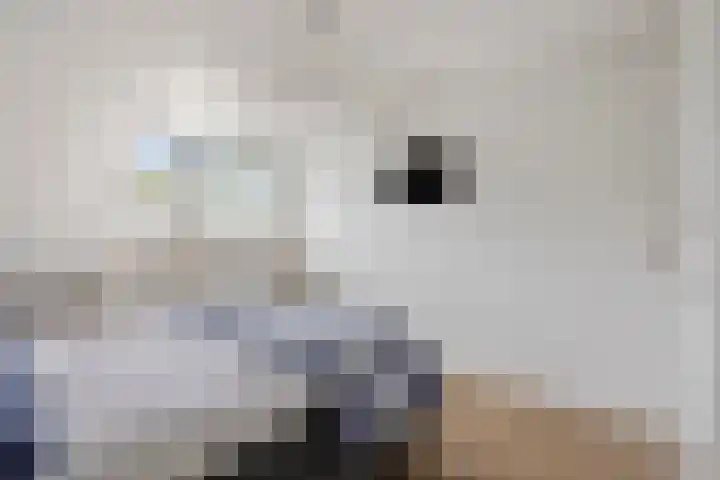 Wijst 73 Gemert thumbnail 24