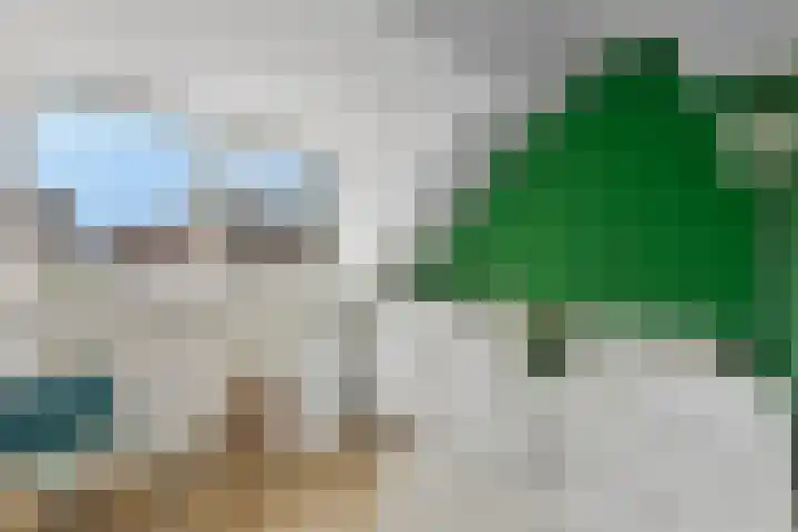 Wijst 73 Gemert thumbnail 30