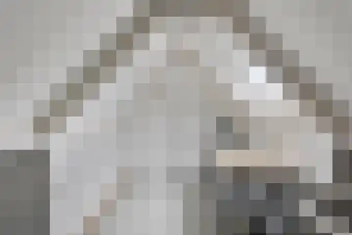 Wijst 73 Gemert thumbnail 33